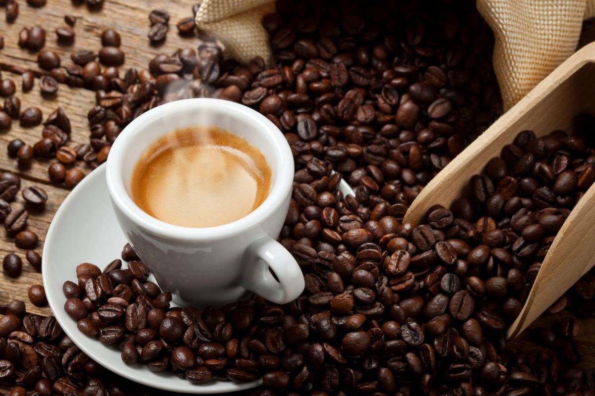 Espresso Beans vs. Coffee Beans: What’s the Difference?